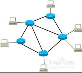 计算机网络 连接世界的数字脉络